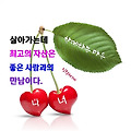 '' 글에 포함된 이미지