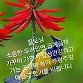 '안녕하세요? 즐겁고 ' 글에 포함된 이미지