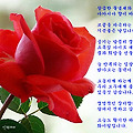 '' 글에 포함된 이미지