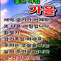 '세상에서 가장 소득 ' 글에 포함된 이미지