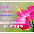 '' 글에 포함된 이미지
