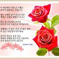 '' 글에 포함된 이미지