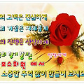 '' 글에 포함된 이미지
