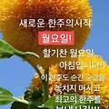 '안녕하세요? 새로운 ' 글에 포함된 이미지