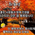 '안녕하세요? 화사하게' 글에 포함된 이미지