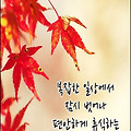 '우리는 일 년 후면 다' 글에 포함된 이미지