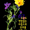 '침묵의 시간은 모든 ' 글에 포함된 이미지