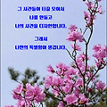 '하늘이 우리에게 보내' 글에 포함된 이미지