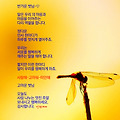 '' 글에 포함된 이미지