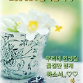 '오늘도즐거운 행복의 ' 글에 포함된 이미지