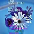 '' 글에 포함된 이미지