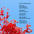 '' 글에 포함된 이미지