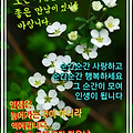 '긋모닝이요흐린 한주 ' 글에 포함된 이미지