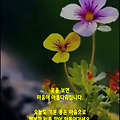'칭찬과 아부에는 엄청' 글에 포함된 이미지