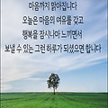 '오늘 하루를 알차게 ' 글에 포함된 이미지