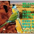 '' 글에 포함된 이미지
