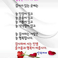 '' 글에 포함된 이미지