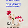 '' 글에 포함된 이미지