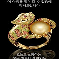 '아무리 아름다운 꽃도' 글에 포함된 이미지