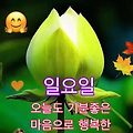 '안녕하세요? 즐겁고 ' 글에 포함된 이미지