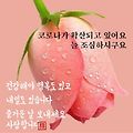 '안녕하세요?오늘은 가' 글에 포함된 이미지
