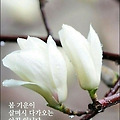 '사람의 상상은 무한합' 글에 포함된 이미지