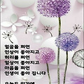 '기분 좋은 웃음은 집' 글에 포함된 이미지