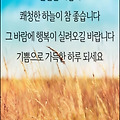 '인생길 가노라면 누구' 글에 포함된 이미지