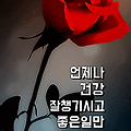 '출첵합니다. ' 글에 포함된 이미지