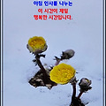 '이제 당신은이 세상에' 글에 포함된 이미지