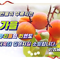 '' 글에 포함된 이미지