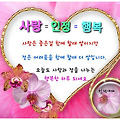 '' 글에 포함된 이미지