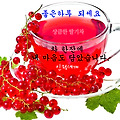 '' 글에 포함된 이미지