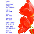 '' 글에 포함된 이미지