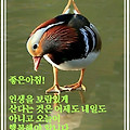'5월의 첫월요일 입니' 글에 포함된 이미지