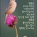 '우리는 늘 기도합니다' 글에 포함된 이미지
