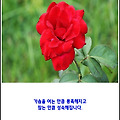 '마음은 미래에 있고 ' 글에 포함된 이미지