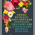 '몸과 마음 편히 쉬셨' 글에 포함된 이미지