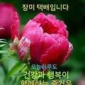 '안녕하세요? 수없이 ' 글에 포함된 이미지