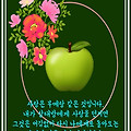 '쾌청하고 화창한 화요' 글에 포함된 이미지