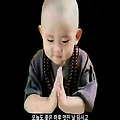 '이 세상에서 가장 소' 글에 포함된 이미지