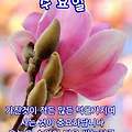 '안녕하세요? 수요일은' 글에 포함된 이미지