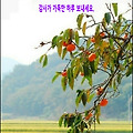 '고운 햇살을 가득히 ' 글에 포함된 이미지