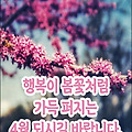'인생에서 승리한 사람' 글에 포함된 이미지