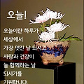 '좋은 말을 하면 할수' 글에 포함된 이미지
