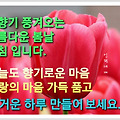 '' 글에 포함된 이미지