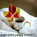'시간이 많아도 쓸 줄 ' 글에 포함된 이미지