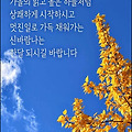 '과거로 돌아가려고 하' 글에 포함된 이미지