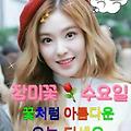'안녕하세요? 수없이 ' 글에 포함된 이미지