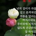 '안녕하세요?눈 깜작할' 글에 포함된 이미지